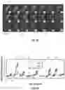 Fig. 11 - Control of and imaging techniques for protein nanoscaffolds