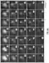 Fig. 14 - Control of and imaging techniques for protein nanoscaffolds