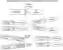 Fig. 01 - HER2-TARGETING MOLECULES COMPRISING DE-IMMUNIZED, SHIGA TOXIN A SUBUNIT SCAFFOLDS