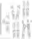 Fig. 02 - HER2-TARGETING MOLECULES COMPRISING DE-IMMUNIZED, SHIGA TOXIN A SUBUNIT SCAFFOLDS
