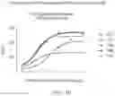 Fig. 11 - HER2-TARGETING MOLECULES COMPRISING DE-IMMUNIZED, SHIGA TOXIN A SUBUNIT SCAFFOLDS