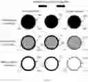 Fig. 02 - COMPOSITIONS AND METHODS OF DETERMINING A LEVEL OF INFECTION IN A SUBJECT