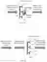 Fig. 03 - COMPOSITIONS AND METHODS OF DETERMINING A LEVEL OF INFECTION IN A SUBJECT