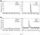 Fig. 23 - COMPOSITIONS AND METHODS OF DETERMINING A LEVEL OF INFECTION IN A SUBJECT