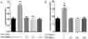 Fig. 01 - Leech polypeptide and use thereof