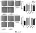 Fig. 05 - Leech polypeptide and use thereof