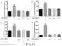 Fig. 12 - Leech polypeptide and use thereof