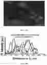 Fig. 03 - OPTOGENETIC MODULATION BY MULTI-CHARACTERISTIC OPSINS FOR VISION RESTORATION AND OTHER APPLICATIONS THEREOF