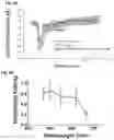 Fig. 04 - OPTOGENETIC MODULATION BY MULTI-CHARACTERISTIC OPSINS FOR VISION RESTORATION AND OTHER APPLICATIONS THEREOF