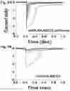 Fig. 05 - OPTOGENETIC MODULATION BY MULTI-CHARACTERISTIC OPSINS FOR VISION RESTORATION AND OTHER APPLICATIONS THEREOF