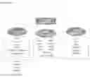 Fig. 11 - COMBINATION IMMUNOTHERAPY