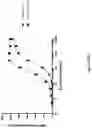 Fig. 101 - MULTIMERS