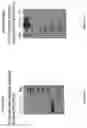 Fig. 23 - MULTIMERS
