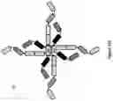 Fig. 50 - MULTIMERS