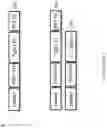 Fig. 77 - MULTIMERS