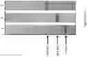 Fig. 86 - MULTIMERS
