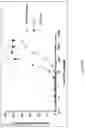Fig. 90 - MULTIMERS