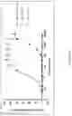 Fig. 95 - MULTIMERS