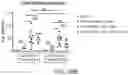 Fig. 49 - LILRB1-based chimeric antigen receptor
