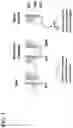 Fig. 02 - CELLULAR THERAPEUTICS ENGINEERED WITH SIGNAL MODULATORS AND METHODS OF USE THEREOF