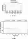 Fig. 23 - Anti-VEGF protein compositions and methods for producing the same