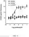 Fig. 10 - Methods of treating FGF21-associated disorders