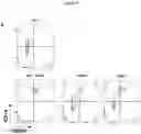 Fig. 06 - Antibodies having specificity for BTN2 and uses thereof