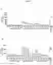 Fig. 08 - Antibodies having specificity for BTN2 and uses thereof