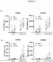 Fig. 18 - Antibodies having specificity for BTN2 and uses thereof
