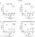 Fig. 19 - Antibodies having specificity for BTN2 and uses thereof