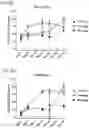 Fig. 11 - ANTI-CD33 ANTIBODIES AND METHODS OF USE THEREOF