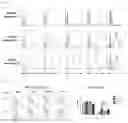 Fig. 05 - ANTIBODY TO TIGIT AND USE THEREOF