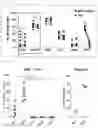 Fig. 07 - ANTIBODY TO TIGIT AND USE THEREOF