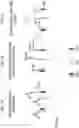 Fig. 02 - Fusions with CD8 antigen binding molecules for modulating immune cell function