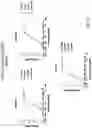 Fig. 05 - Fusions with CD8 antigen binding molecules for modulating immune cell function