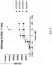 Fig. 09 - Fusions with CD8 antigen binding molecules for modulating immune cell function