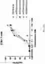 Fig. 20 - Fusions with CD8 antigen binding molecules for modulating immune cell function