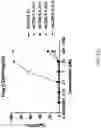Fig. 22 - Fusions with CD8 antigen binding molecules for modulating immune cell function