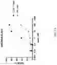Fig. 30 - Fusions with CD8 antigen binding molecules for modulating immune cell function