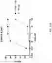 Fig. 34 - Fusions with CD8 antigen binding molecules for modulating immune cell function
