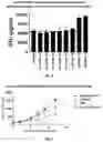 Fig. 05 - Anti-CD112R compositions and methods