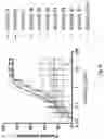 Fig. 29 - Anti-CD112R compositions and methods