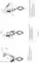 Fig. 124 - MULTISPECIFIC BINDING PROTEINS