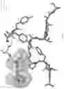 Fig. 32 - MULTISPECIFIC BINDING PROTEINS