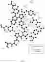 Fig. 33 - MULTISPECIFIC BINDING PROTEINS