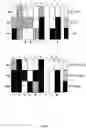 Fig. 70 - MULTISPECIFIC BINDING PROTEINS