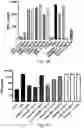 Fig. 03 - ANTI BDCA-2 ANTIBODIES