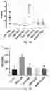 Fig. 05 - ANTI BDCA-2 ANTIBODIES