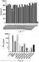 Fig. 06 - ANTI BDCA-2 ANTIBODIES