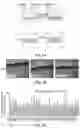 Fig. 10 - ANTI BDCA-2 ANTIBODIES